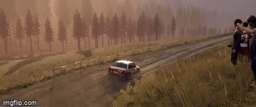 Dirt Rally 2.0 - Steam