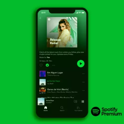 [oi +alegria] Spotify Premium Individual - 1 Ms