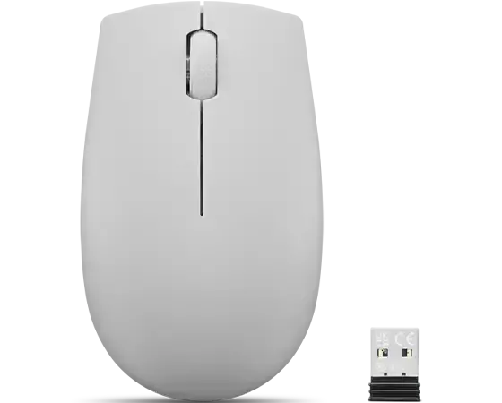 Mouse Sem Fio Compacto Lenovo 300 (cinza) Co