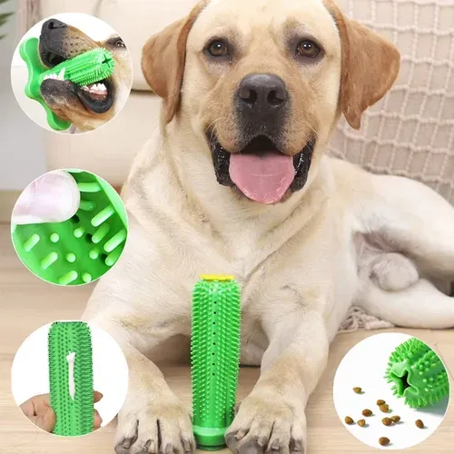 [moedas] Cactus Brinquedo Interativo, Divertido E Macio Para Voc Brincar Com Seu Melhor Amigo Dog