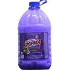 Desinfetante Sophia 5l - Altamente Concetrado E Perfumado